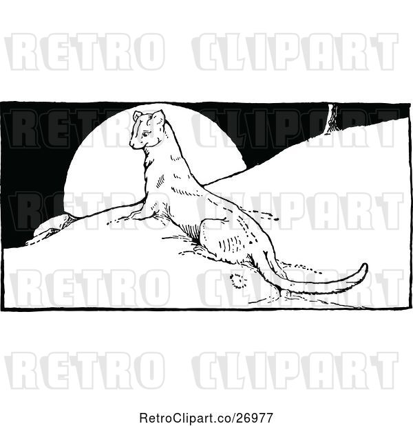 Vector Clip Art of Retro Ermine Weasel on a Hill