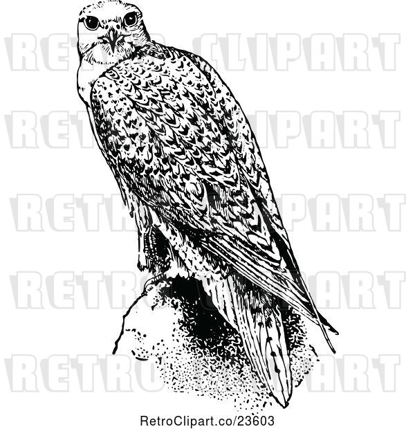 Vector Clip Art of Retro Falcon Bird