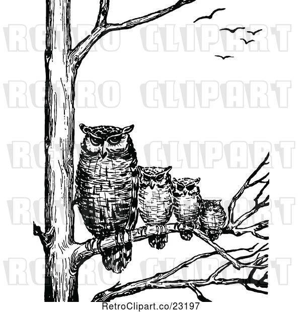 Vector Clip Art of Retro Family of Owls in a Tree