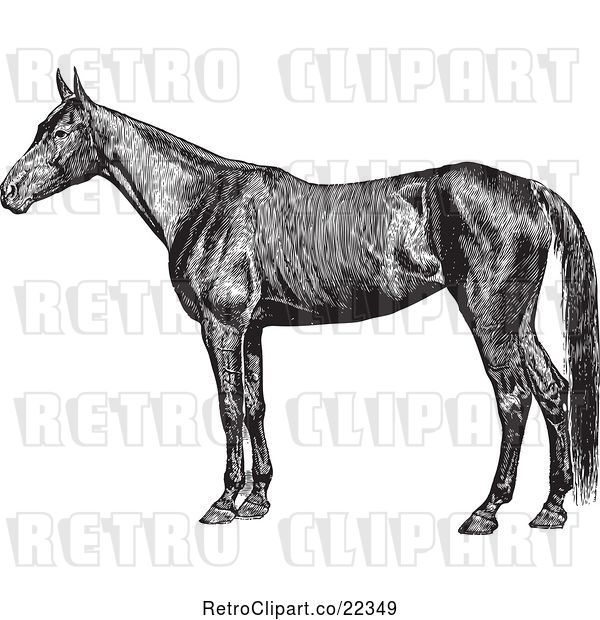 Vector Clip Art of Retro Farm Horse