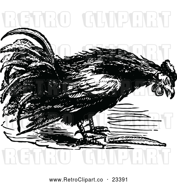 Vector Clip Art of Retro Farm Rooster 1