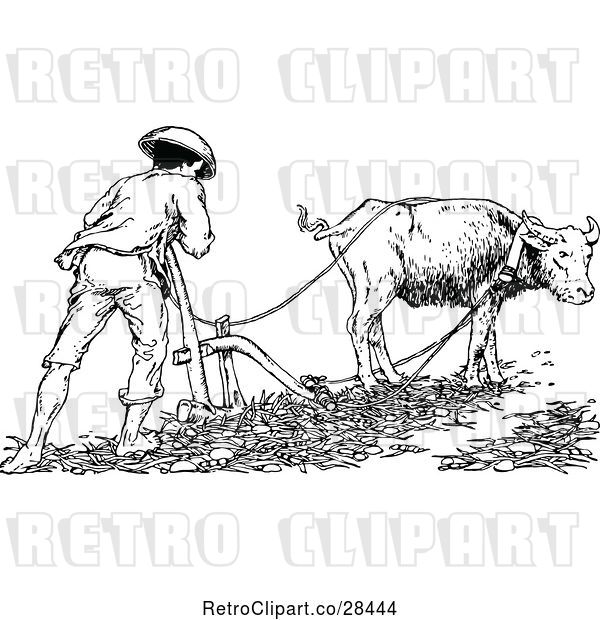 Vector Clip Art of Retro Farmer and Cow Ploughing