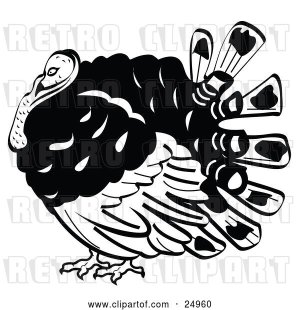 Vector Clip Art of Retro Fat Turkey Bird with His Head Tucked in His Neck