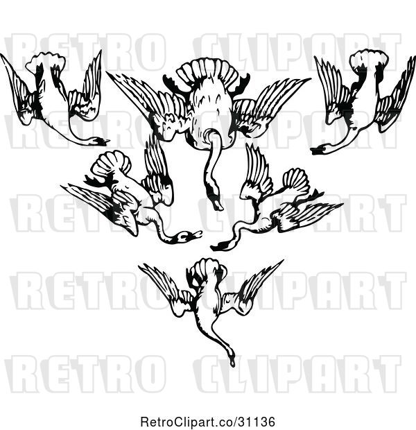 Vector Clip Art of Retro Flock of Swans in a V