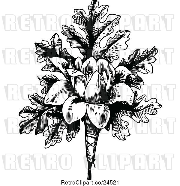 Vector Clip Art of Retro Flower and Leaves