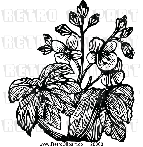 Vector Clip Art of Retro Flowers 2
