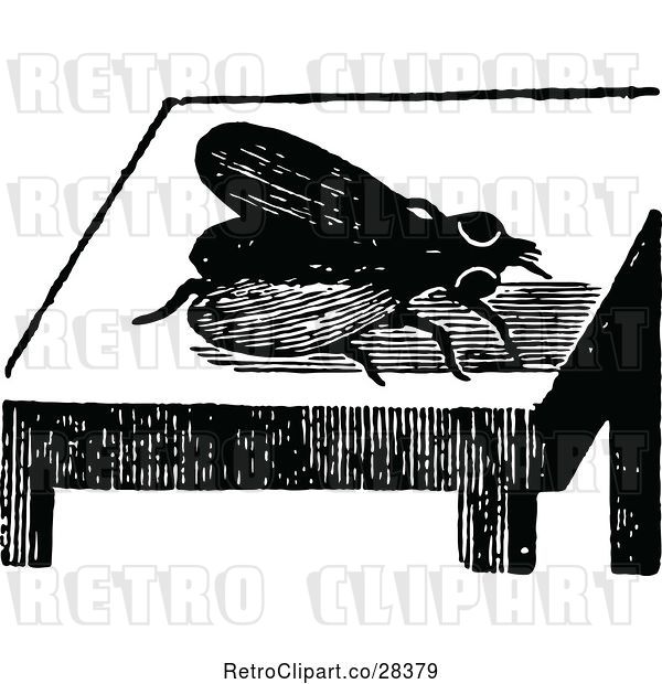 Vector Clip Art of Retro Fly on a Table