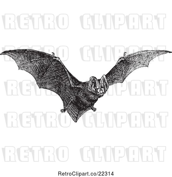 Vector Clip Art of Retro Flying Bat