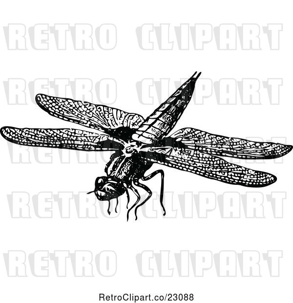 Vector Clip Art of Retro Flying Dragonfly