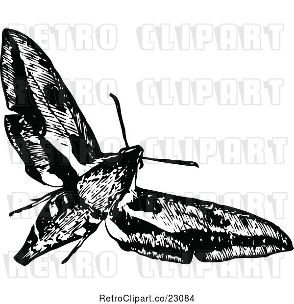 Vector Clip Art of Retro Flying Moth