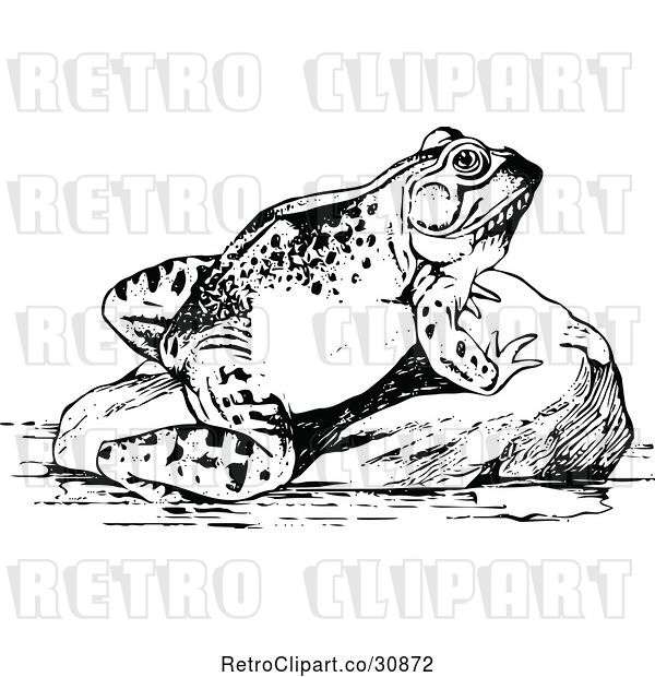 Vector Clip Art of Retro Frog Sun Bathing