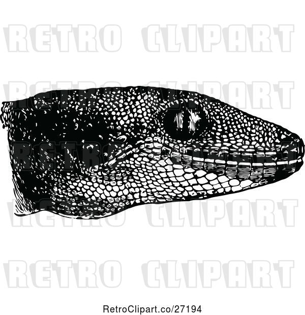 Vector Clip Art of Retro Gecko Head