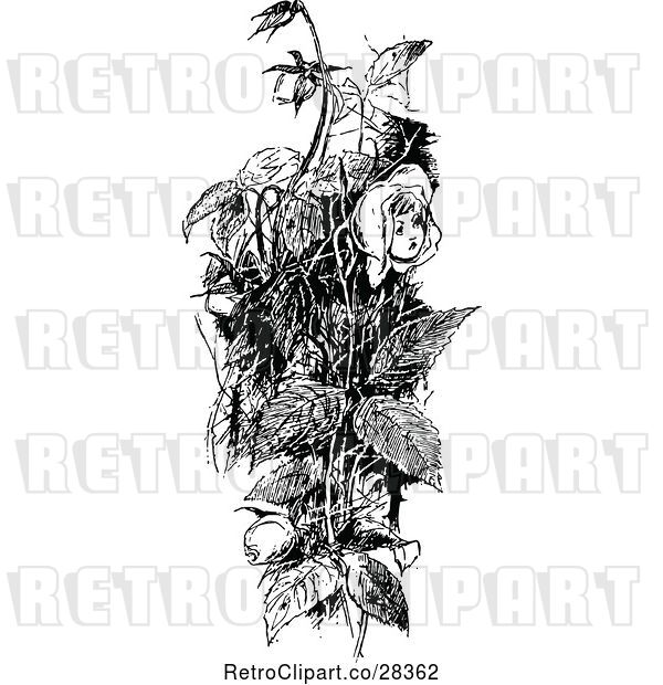 Vector Clip Art of Retro Girl Rose in a Bush