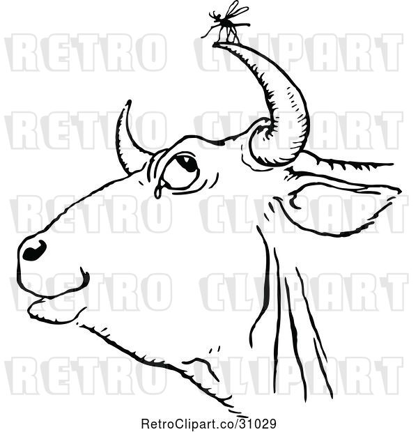 Vector Clip Art of Retro Gnat and Cow