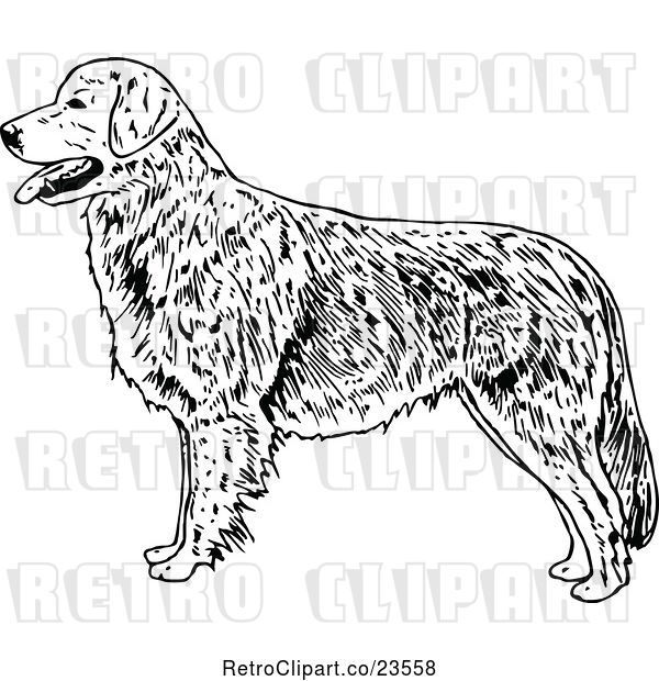 Vector Clip Art of Retro Golden Retriever Dog