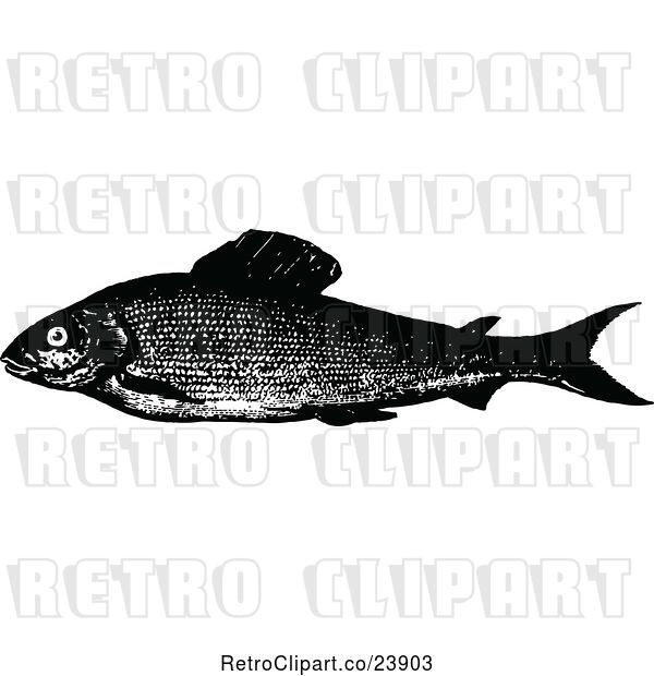 Vector Clip Art of Retro Grayling Fish