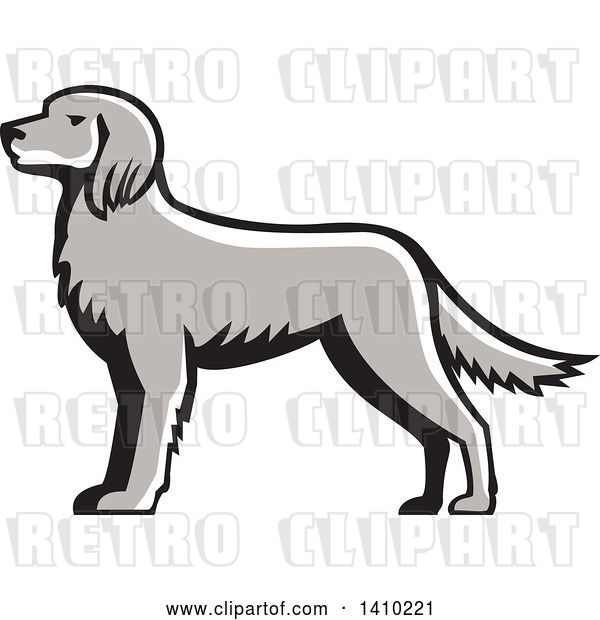 Vector Clip Art of Retro Grayscale English Setter Dog