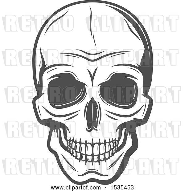 Vector Clip Art of Retro Grayscale Human Skull, in Style