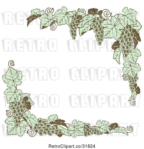 Vector Clip Art of Retro Green Grape Vine Corner Borders
