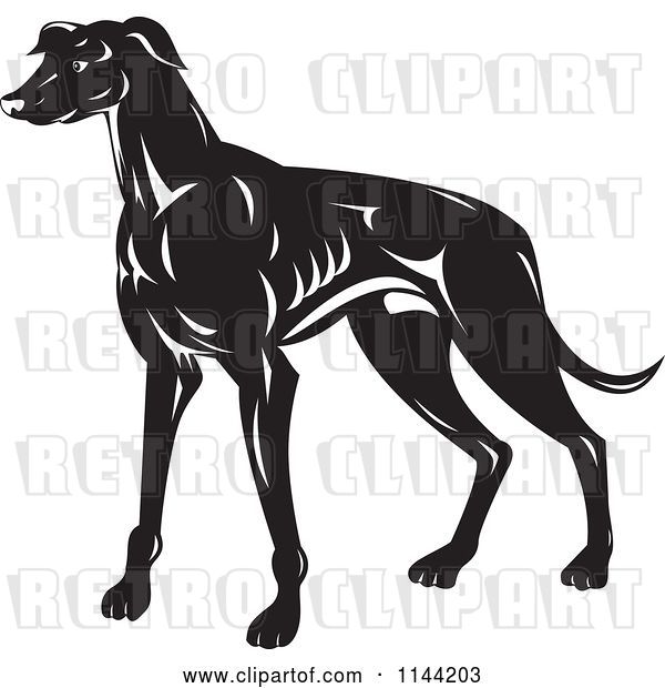 Vector Clip Art of Retro Greyhound Dog