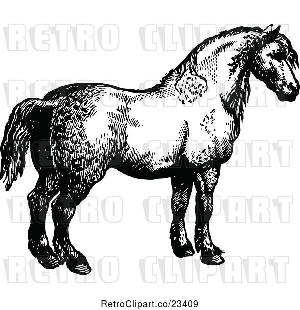 Vector Clip Art of Retro Horse 2