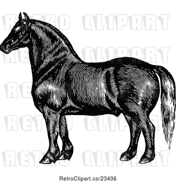 Vector Clip Art of Retro Horse 3
