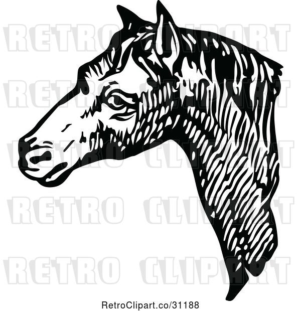 Vector Clip Art of Retro Horse Face 1
