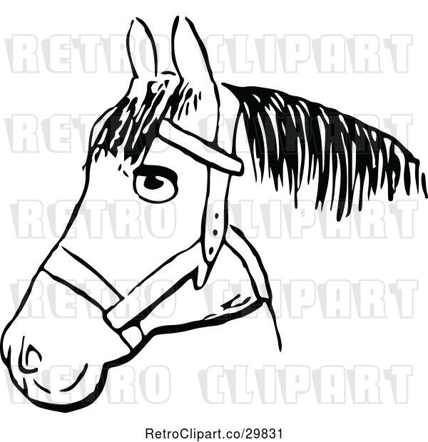 Vector Clip Art of Retro Horse Head 2