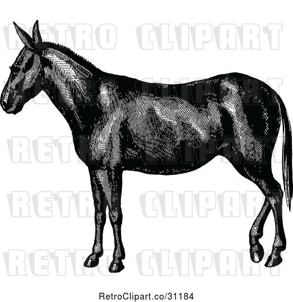Vector Clip Art of Retro Horse or Mule