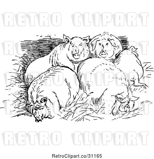Vector Clip Art of Retro Huddled Pigs