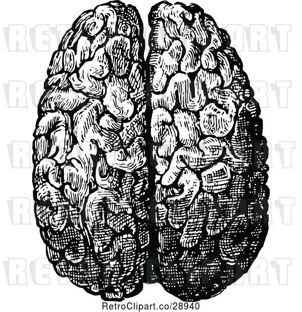 Vector Clip Art of Retro Human Brain