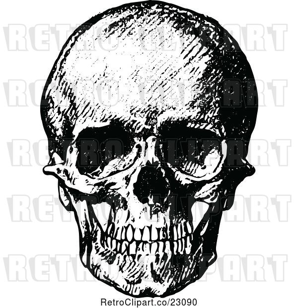 Vector Clip Art of Retro Human Skull 1