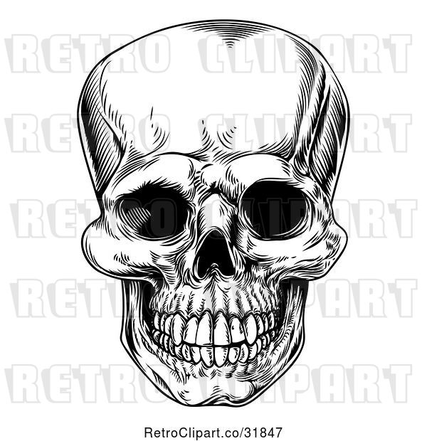 Vector Clip Art of Retro Human Skull