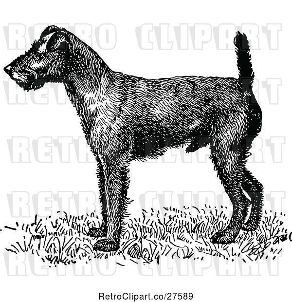 Vector Clip Art of Retro Irish Terrier Dog