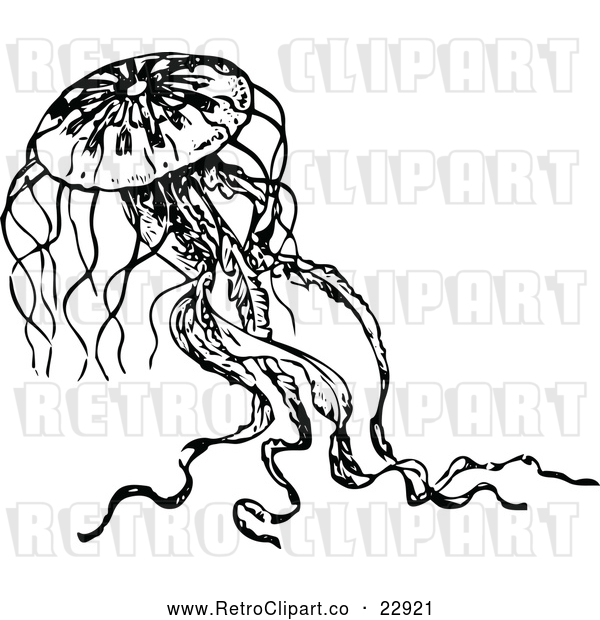 Vector Clip Art of Retro Jellyfish 2