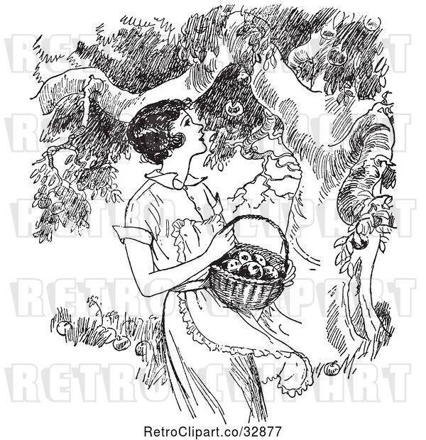 Vector Clip Art of Retro Lady Picking Apples from a Tree