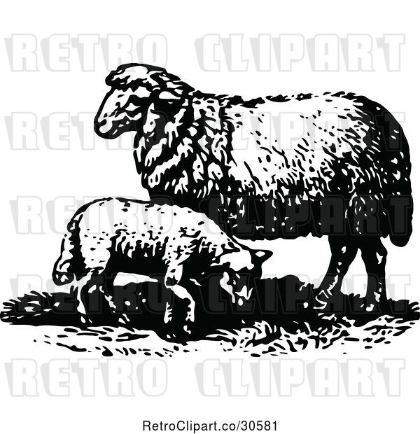 Vector Clip Art of Retro Lamb and Sheep