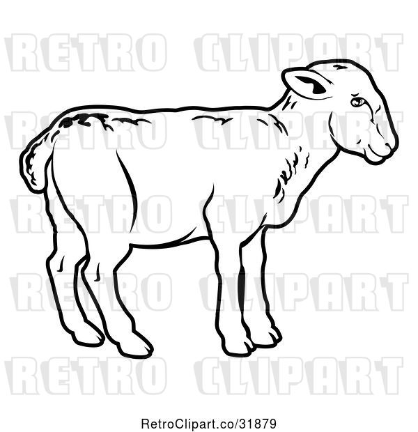 Vector Clip Art of Retro Lamb in Profile