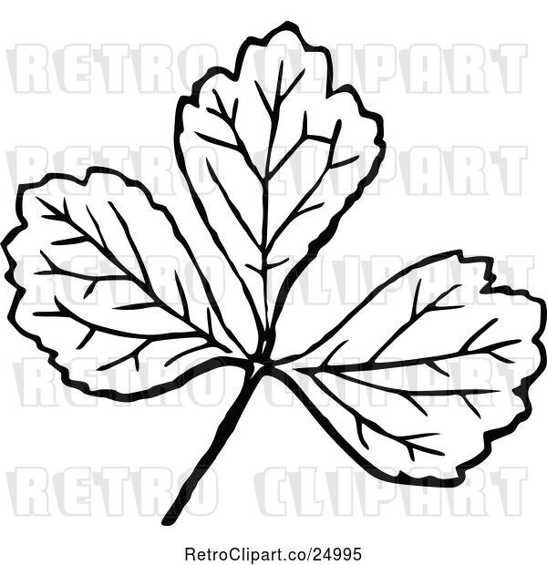 Vector Clip Art of Retro Leaf
