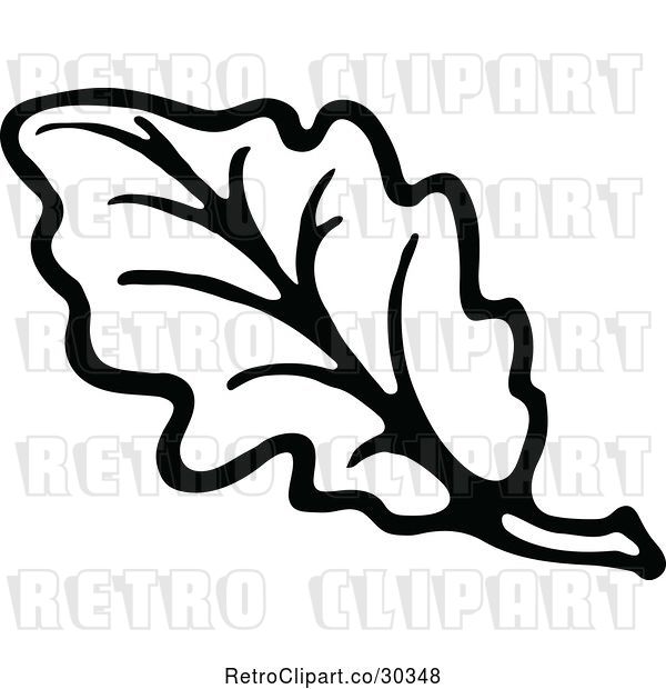 Vector Clip Art of Retro Leaf Design 3