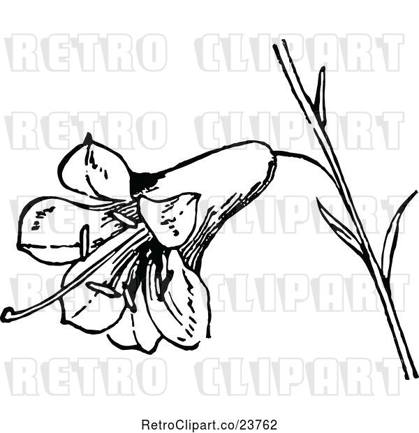 Vector Clip Art of Retro Lily Flower
