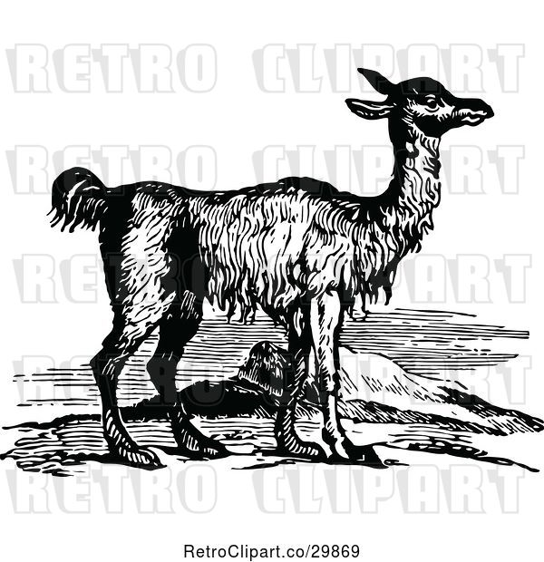 Vector Clip Art of Retro Llama