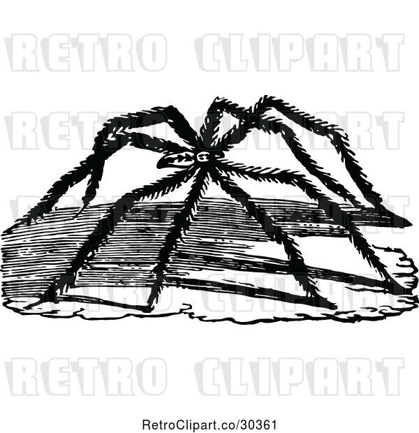 Vector Clip Art of Retro Long Legged Spider