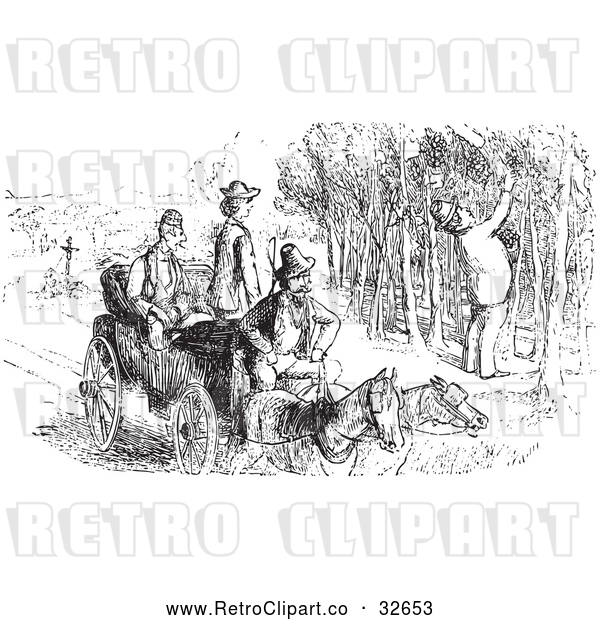 Vector Clip Art of Retro Man Picking Grapes in Black and White