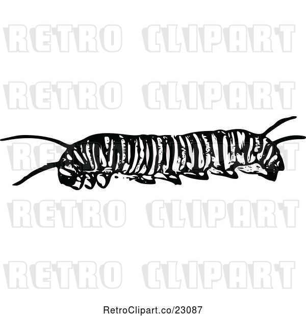 Vector Clip Art of Retro Monarch Caterpillar
