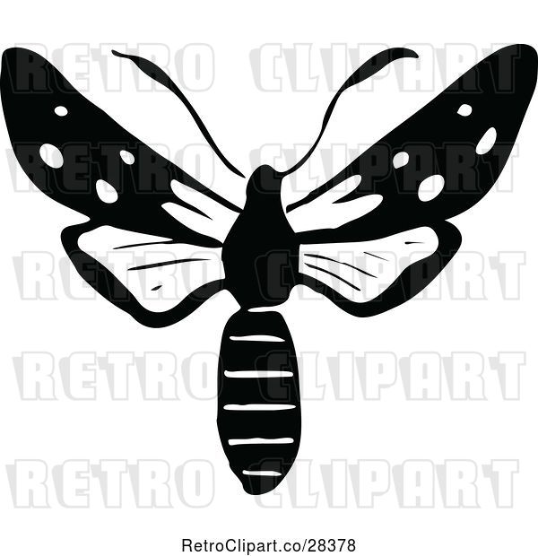 Vector Clip Art of Retro Moth