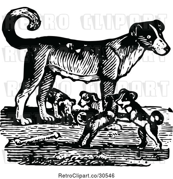 Vector Clip Art of Retro Mother Dog and Playful Puppies