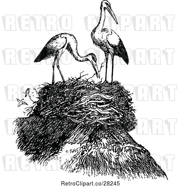 Vector Clip Art of Retro Nest and Herons
