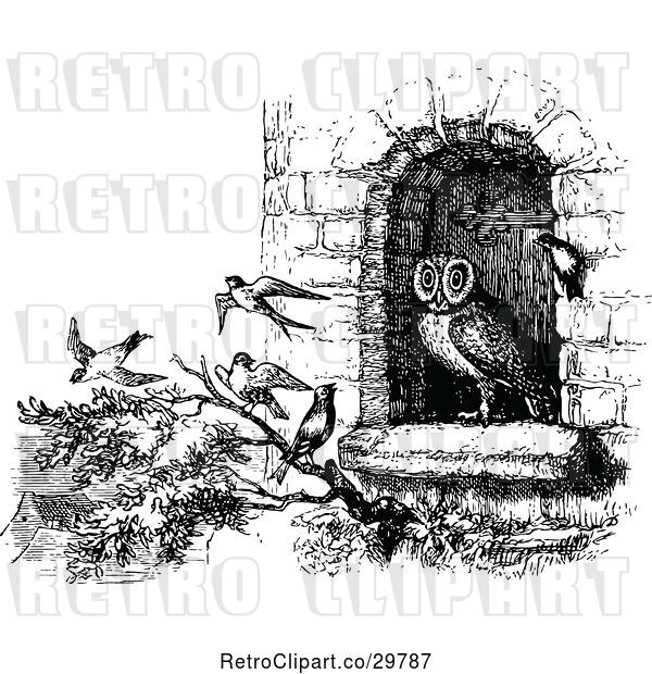 Vector Clip Art of Retro Owl and Birds
