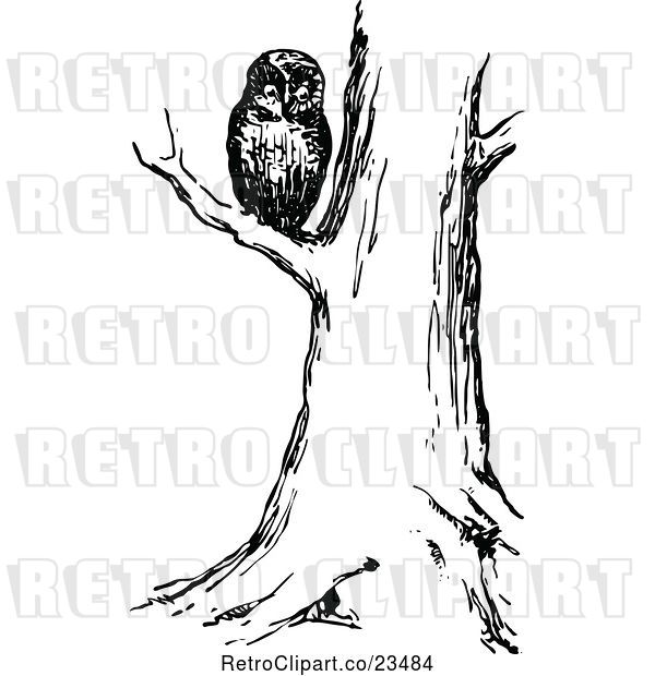 Vector Clip Art Of Retro Owl In A Tree By Prawny Vintage 23484